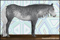 Horse Color:Silver Black Chinchilla Rabicano 