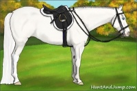 Horse Color:Silver Smoky Creme Dun 