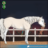 Horse Color:Cremello Splash  Brindle
