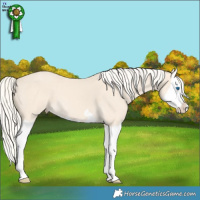 Horse Color:Cremello Splash  Brindle
