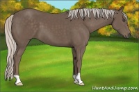 Horse Color:Silver Black 