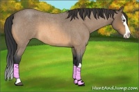 Horse Color:Buckskin Roan Splash 