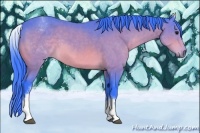 Horse Color:Watercolor White Spotted Bay Rabicano 