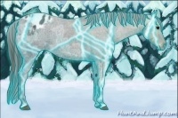 Horse Color:Thunderstruck Black Ice Appaloosa 