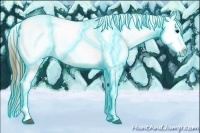 Horse Color:Thunderstruck Buckskin Ice Appaloosa 