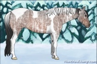 Horse Color:Bay Ice Roan Tobiano 