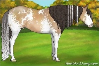 Horse Color:White Spotted Amber Champagne Splash Rabicano 