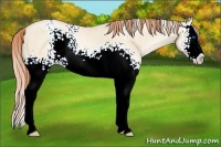 Horse Color:White Spotted Classic Cream Champagne Pearl Splash
