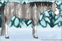 Horse Color:Grullo Ice Splash