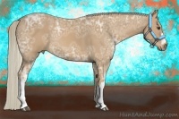 Horse Color:Palomino Ice 