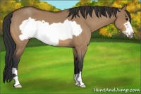 Horse Color:Bay Roan Dun Frame 