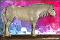 Horse Color:White Spotted Chocolate Palomino Rabicano