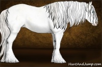 Horse Color:Cremello Dun Sabino 