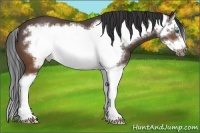 Horse Color:Brown Splash Frame