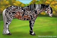 Horse Color:Brown Sabino Varnish 
