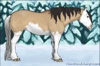 Horse Color:Bay Dun Splash 