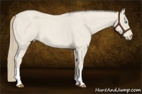 Horse Color:Smoky Creme Roan 