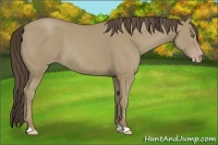Horse Color:Classic Cream Champagne 