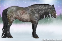 Horse Color:Brown Ice Rabicano 