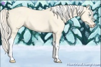 Horse Color:Cremello Dun Tobiano