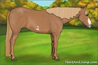 Horse Color:Chestnut Frame