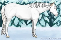 Horse Color:Silver Bay Ice Dun Splash Tobiano Rabicano