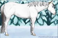 Horse Color:Classic Champagne Splash Tobiano 