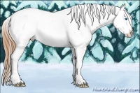Horse Color:Grullo Splash Tobiano Appaloosa 