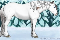 Horse Color:Bay Splash Tobiano Appaloosa