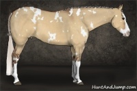 Horse Color:White Spotted Silver Brown Dun Splash 