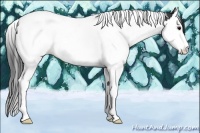 Horse Color:Black Sabino Splash Tobiano