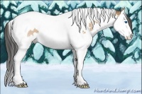 Horse Color:Bay Splash Tobiano