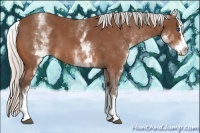 Horse Color:White Spotted Silver Bay Splash 