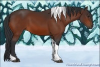 Horse Color:Bay Tobiano Rabicano