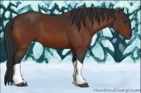 Horse Color:Bay Tobiano 