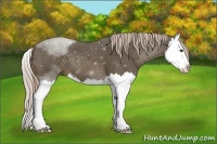 Horse Color:Chocolate Palomino Splash 