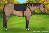 Horse Color:Bay Roan Dun 