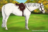 Horse Color:Cremello Roan Dun