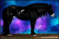 Horse Color:Gray Palomino Ice Roan Pearl Sabino Appaloosa Rabicano 