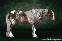 Horse Color:White Spotted Silver Brown Ice Splash Tobiano Rabicano