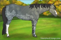 Horse Color:Black Ice 