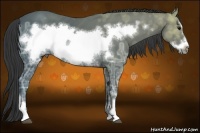 Horse Color:Black Ice Frame 