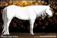 Horse Color:Liver Chestnut Snowcap 