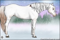 Horse Color:Chestnut Snowcap 