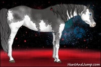 Horse Color:Black Splash 