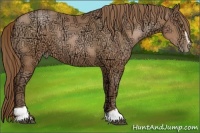 Horse Color:Brown Ice Pearl Sabino 