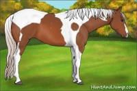 Horse Color:Silver Bay Tobiano
