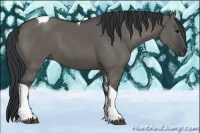 Horse Color:Grullo Tobiano Rabicano