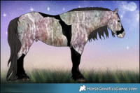 Horse Color:ERROR: UNKNOWN ANOMALY