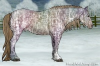 Horse Color:Liver Chestnut Ice 